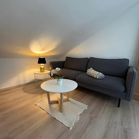 Mini-appartment Zum Guten Bier Neu ホームステイ バート・シャンダウ