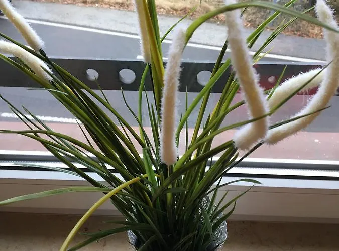 Ubytování v soukromí 